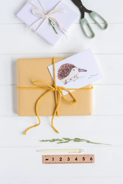 Nana Huchy Gift Card - Spike the Echidna New